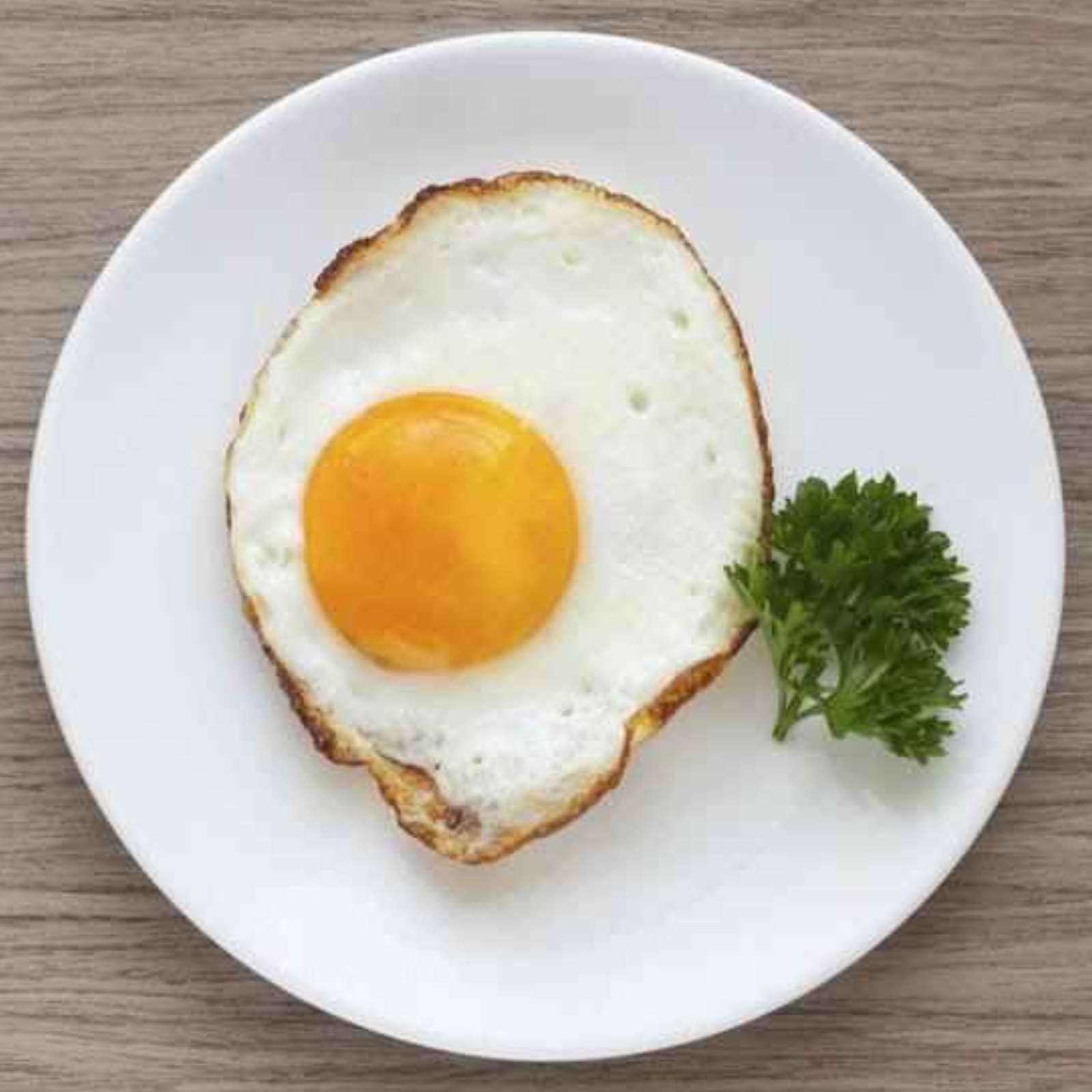Egg