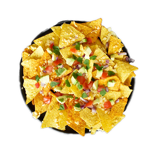 Veggie Nachos Con Todo